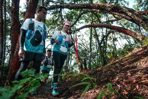 BIB: 
                            <button type="button" onclick="openModal(26346024)" class="btn btn-primary btn-sm float-right btn-popup" data-toggle="modal" data-target=".modal-high-quality">
                        <i class="fas fa-shopping-cart"></i> Add to Cart
                    </button>
                                            <button type="button" onclick="isThisMe(26346024, true)" class="btn btn-success btn-sm float-right btn-popup btn-isme hidden" data-toggle="tooltip" data-placement="bottom" title="นี่คือรูปของคุณใช่ไหม คลิกที่นี่เพื่อเอาเข้าอัลบั้ม">
                        <i class="fas fa-plus"></i> Add to album
                    </button>
                    <button type="button" onclick="isThisMe(26346024, false)" class="btn btn-warning btn-sm float-right btn-popup btn-isnotme hidden">
                        <i class="fas fa-ban"></i> Remove from album
                    </button>